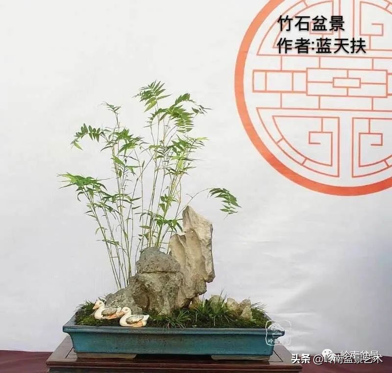 广东的盆景有哪些,适合广东玩的盆景