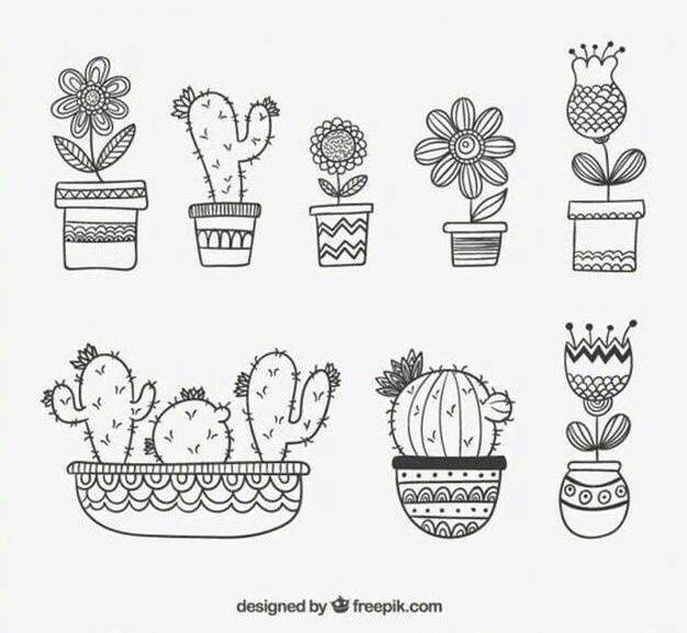 植物黑板报素材简笔画,植物简笔画素材大全