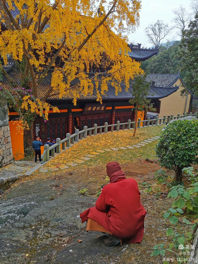 温州茶山五美园的故事,温州茶山五美园