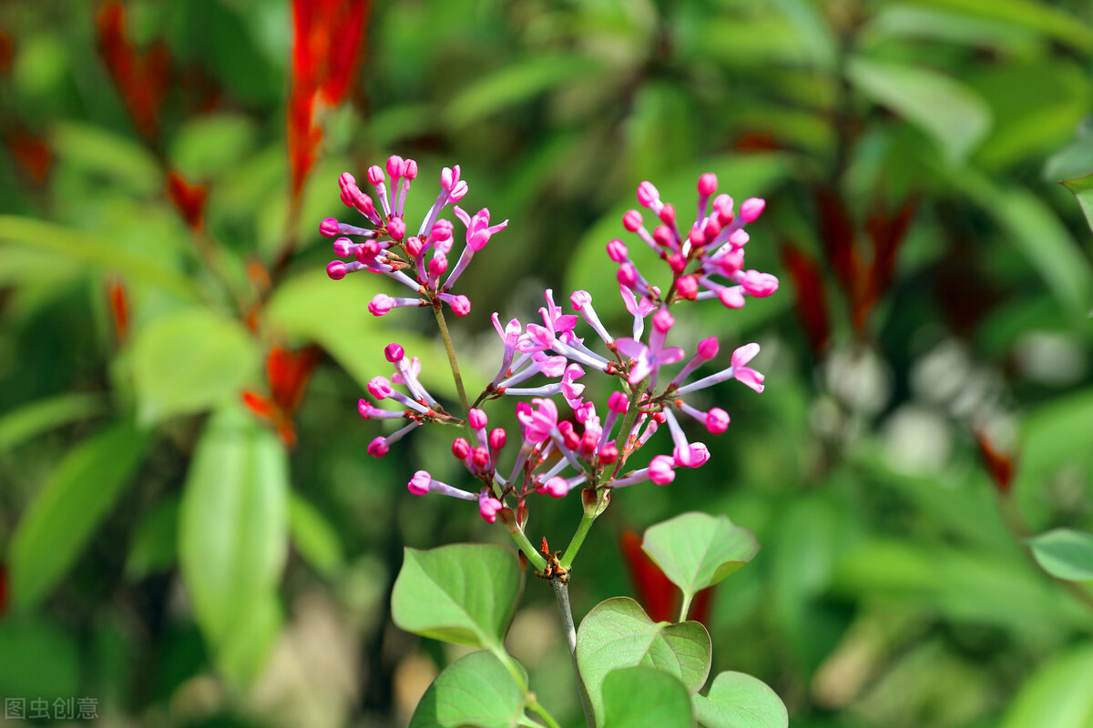 说说双子座最讨厌的星座是什么,双子座讨厌你会彻底删微信吗