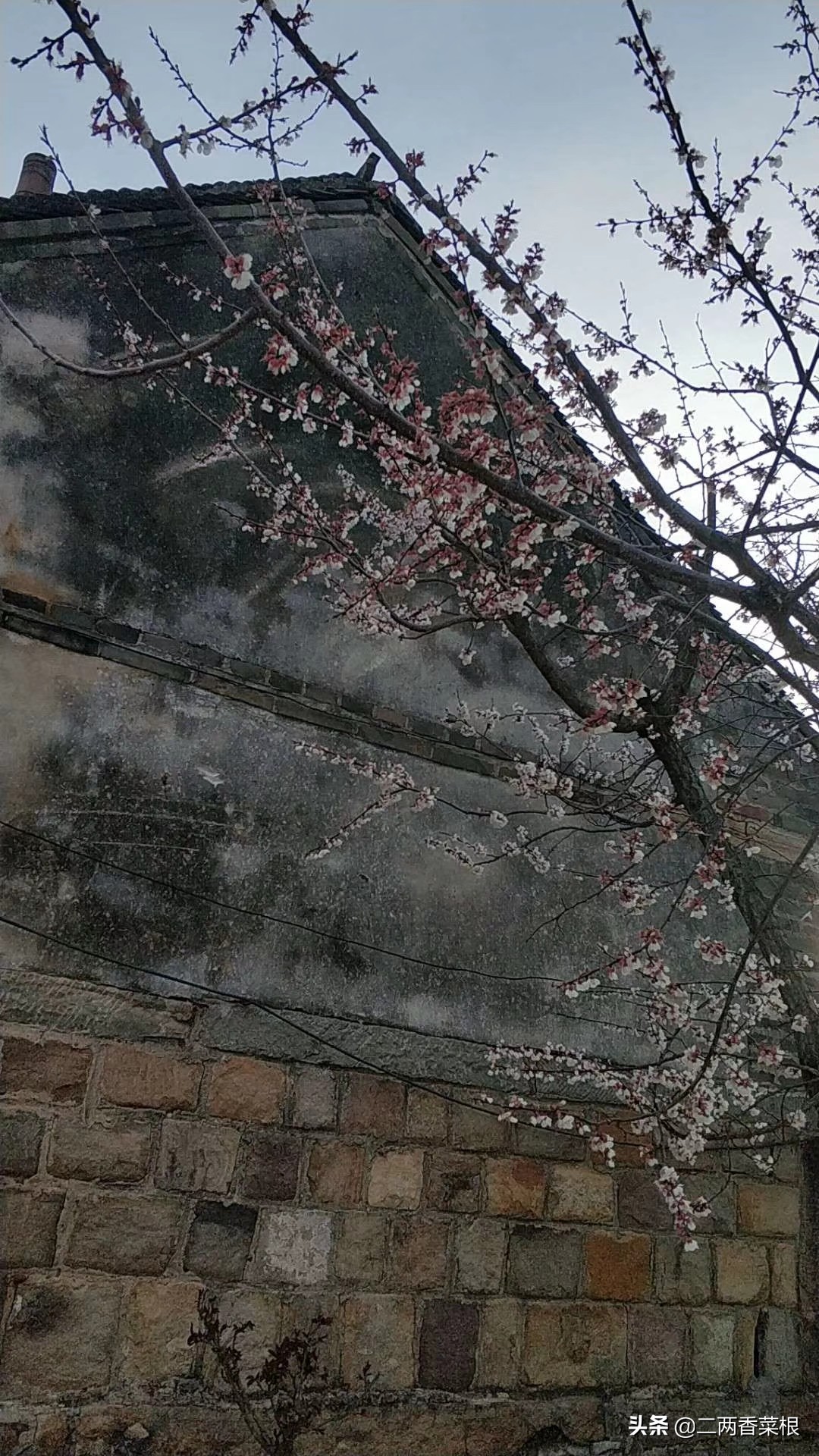 勿以身贵而贱别人,有一种修养叫从不炫耀