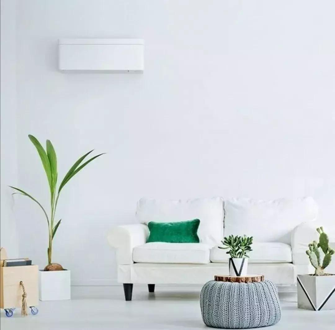 新鞋里的纸团叫什么,新鞋子里的纸团有什么用