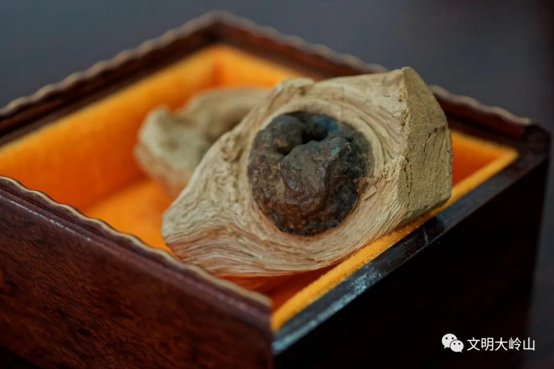 东莞大岭山镇：湾区制造名镇，再来一场文化突围