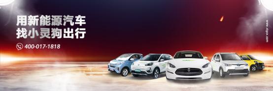 小灵狗最新视频,小灵狗余姚