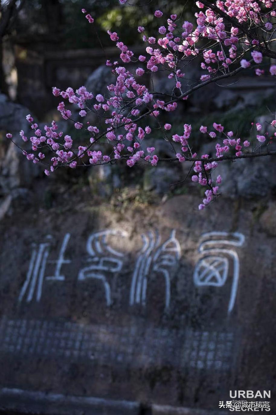 江南100，杭州99