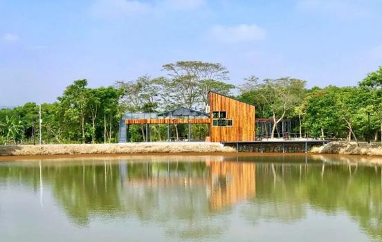 碧桂园乡村振兴项目,在家门口就可以致富创收