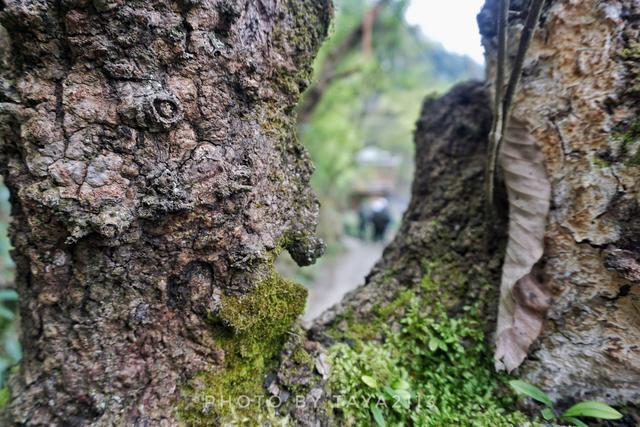 贵州三都：一个少见的民族，一个神奇的崖壁——妞儿嬉游记