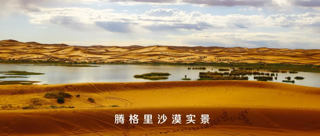 沙漠自然教育夏令营,2020沙漠夏令营报名