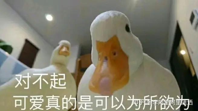 最暖心的套路撩人情话,2020最暖套路撩人情话