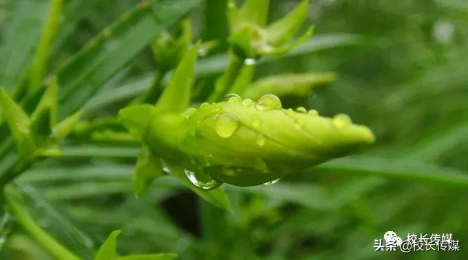 育儿经典100个,11个育儿经验在育儿路上少走弯路