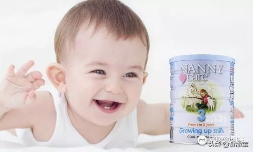 国外六大婴儿羊奶粉品牌
