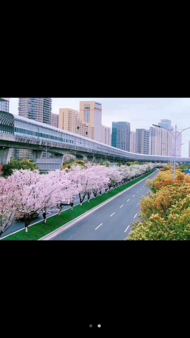 美丽的第二故乡宁波~北仑港