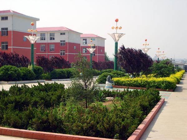 宿州各学校高考情况,2022年宿州高考学校排名