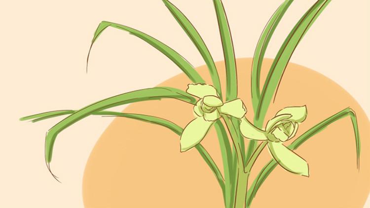 儿童夏天皮肤特别干燥需抹什么,夏天宝宝皮肤干起皮是怎么了