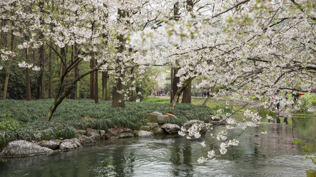 女孩子总想出去旅游,为什么成人总想旅游