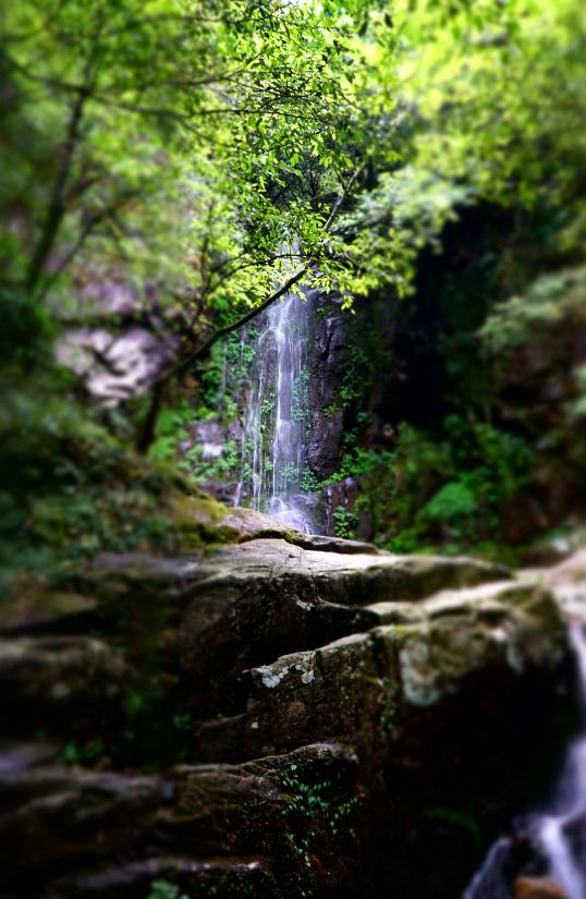 再也不怕背包被汗湿了：多特福特拉26L户外背包评测