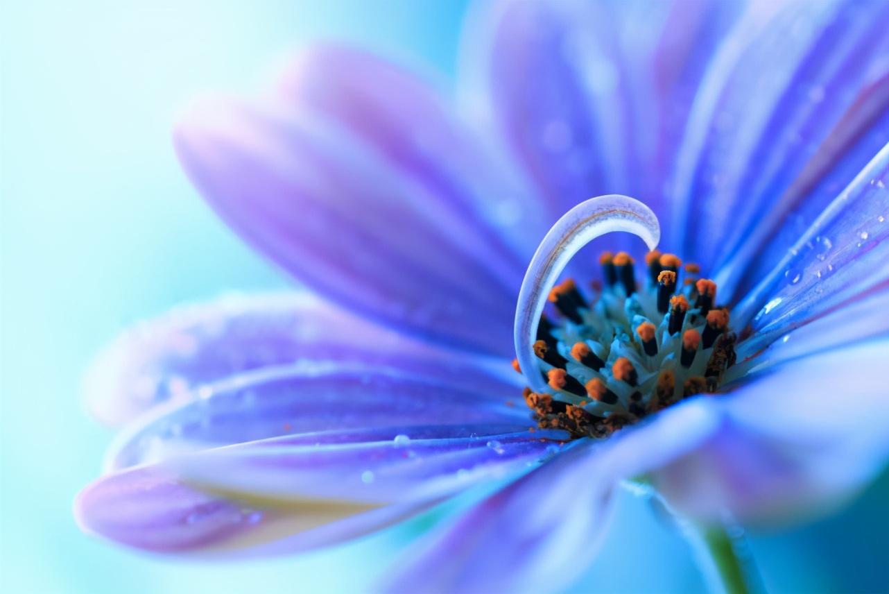 十二星座都有什么特点和缺点,十二星座特点优点和缺点图片