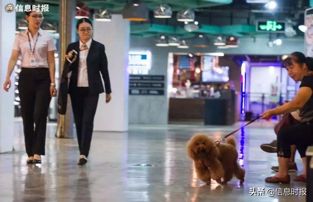 不想说再见深圳,广州地王广场现在如何