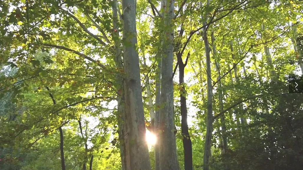 大疆pocket2现在还值得入手吗,gopro9和大疆pocket2哪个更好