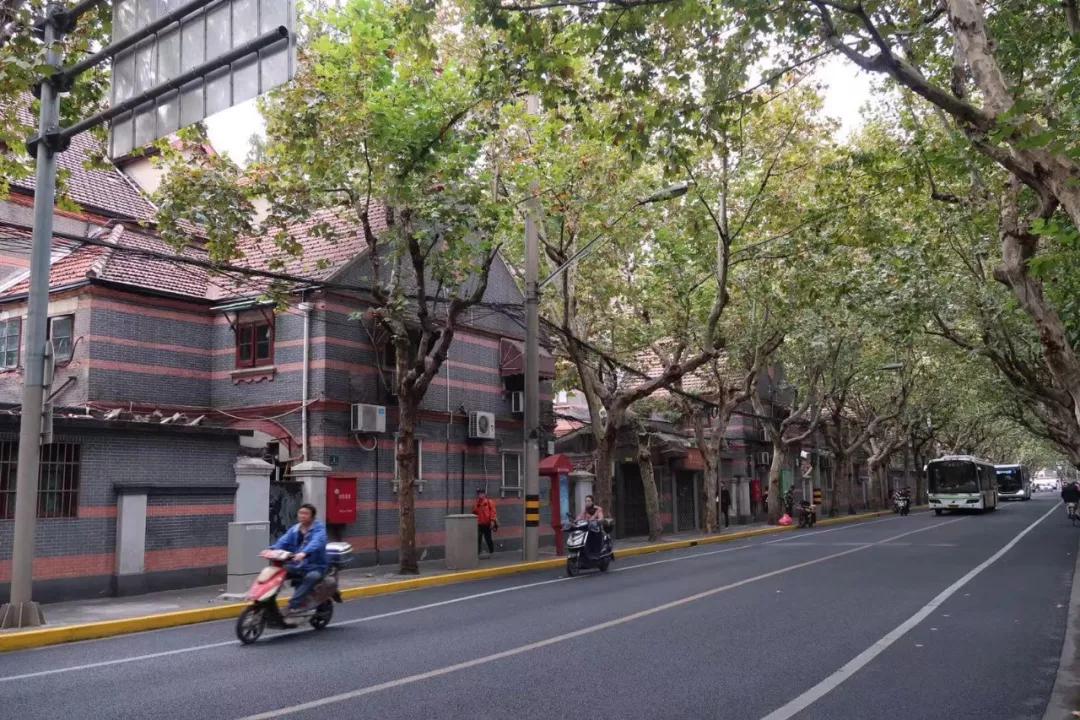 探寻西湖龙井茶核心,寻找杭州地道美食