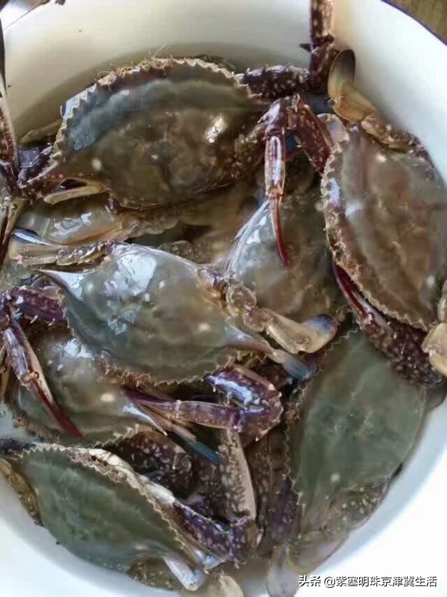 海边可以赶海吃住玩一体的农家院,秦皇岛黄金海岸牧海农家院