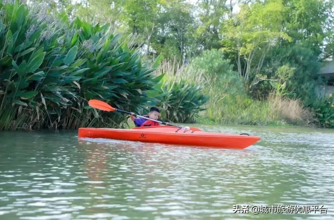 神兽小课堂|蜕变水上勇士，搭乘皮划艇来一场乘风破浪的奇妙旅行