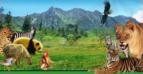 来西安旅游怎能错过这十大景点,西安旅游最值得去的10个景点