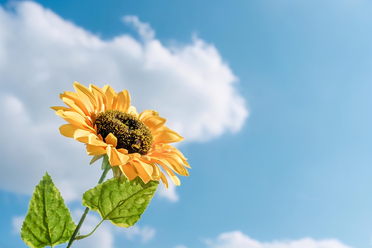 所谓的感同身受就是冷暖自知,哪有什么感同身受冷暖自知罢了