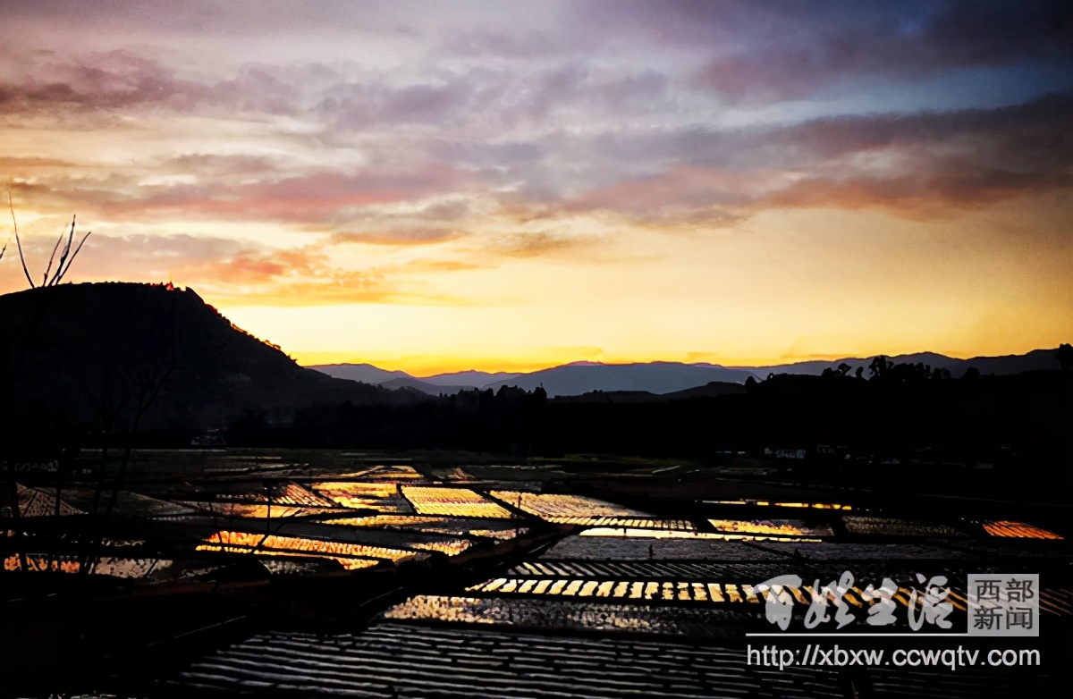 浼氱悊妤犻櫌,浼氱悊鍙ゅ煄妤犻櫌