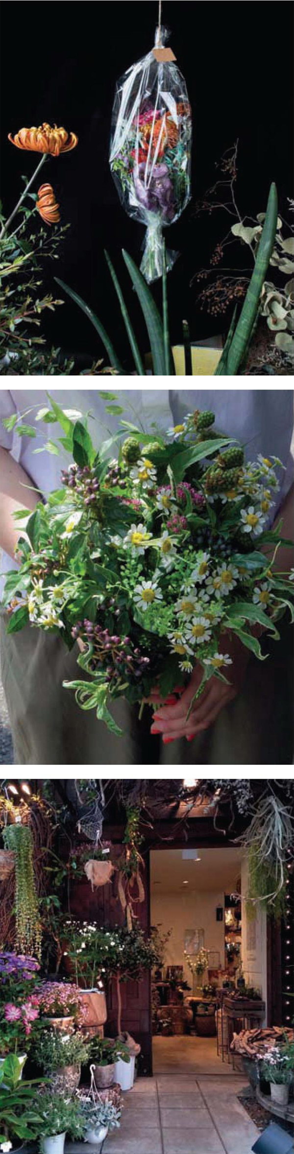 逛日本花店,带你逛日本花店