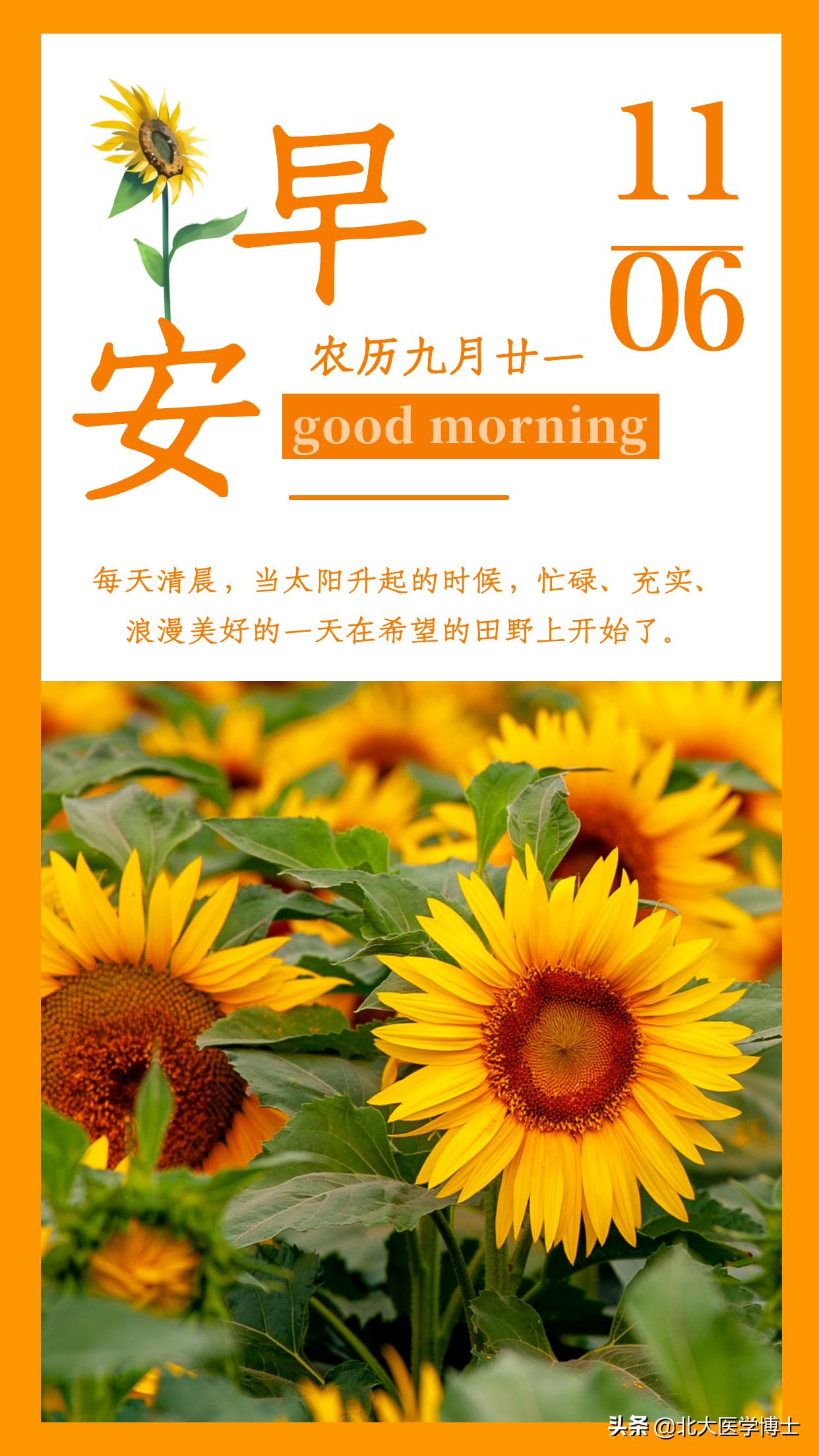 大姨妈推迟7天怎么看中医,大姨妈老是延迟吃什么药调理