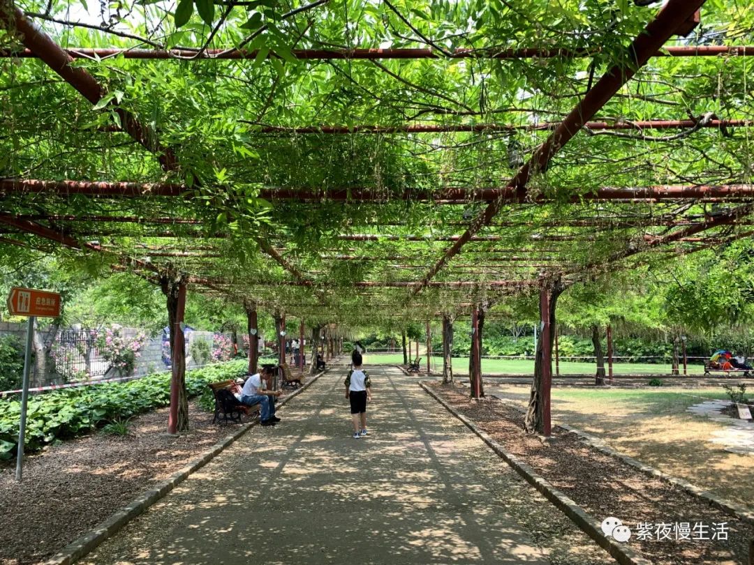 慢生活惬意悠闲,悠闲惬意上海