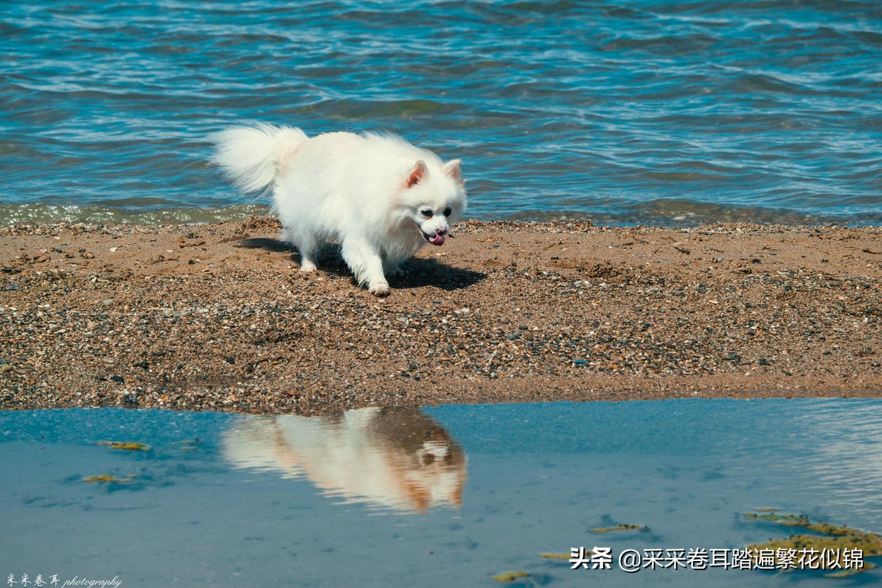 青海小柴旦湖环线游攻略 (青海湖最佳旅游路线图高清)
