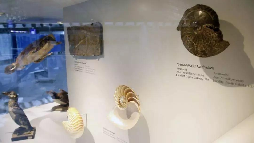 七座超会赚钱的机场“捞金”指南,购物中心学起来