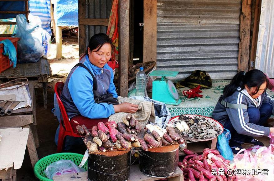关于女性的趣味冷知识,受不了的趣味冷知识大全
