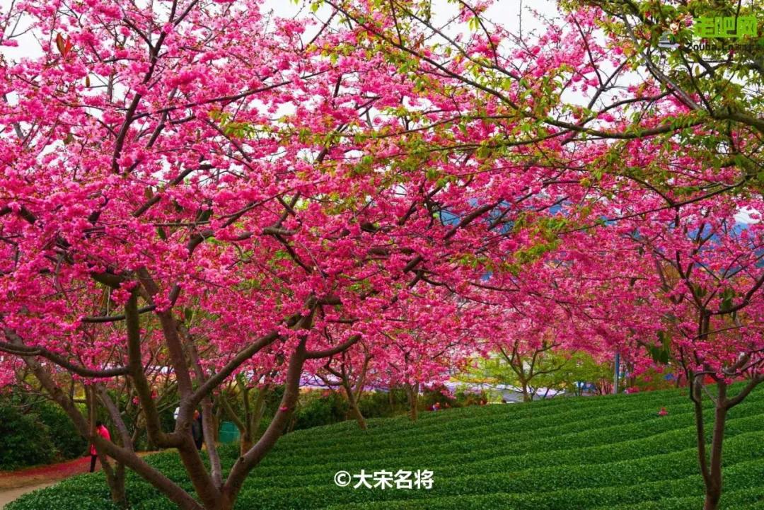 过年了爱车也要干干净净,过年了你的爱车洗干净了吗