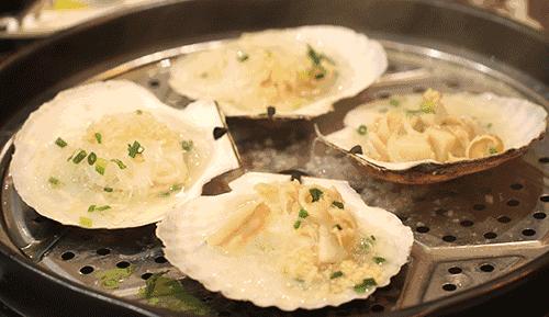 秦皇岛禁渔期码头还能买贝类吗,秦皇岛禁渔期海鲜怎么来的