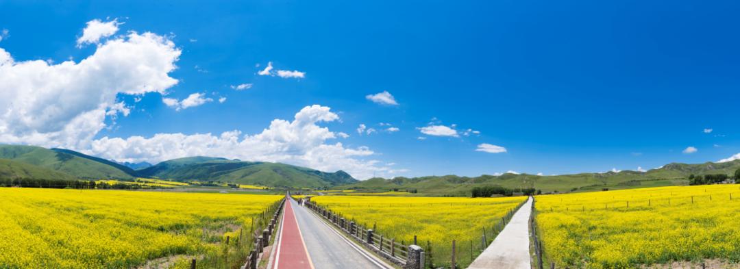 精品旅游线路乡村游亲子游,四川几大精品旅游线路