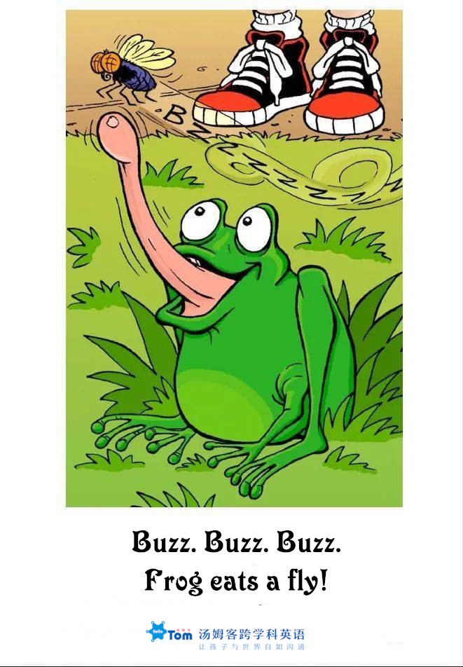 tom猫讲故事,tom讲口才