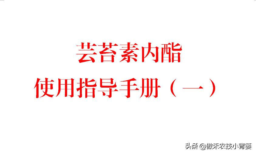 芸苔素内酯的性能,芸苔素到底怎么样