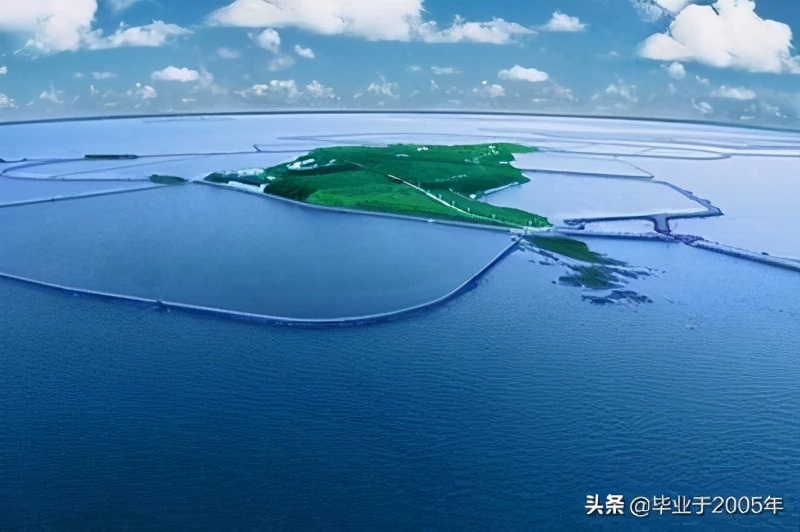 从客观角度说说海参,客观的角度说一说海参