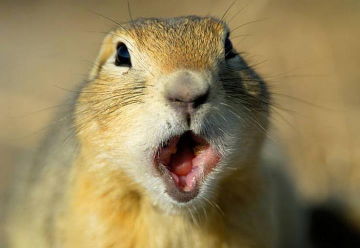 遇到尴尬时怎么幽默应对,如何用幽默化解尴尬