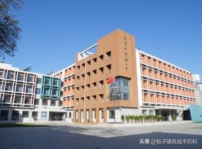 天津市十大小学学校排行榜,天津市河西区小学排名最新
