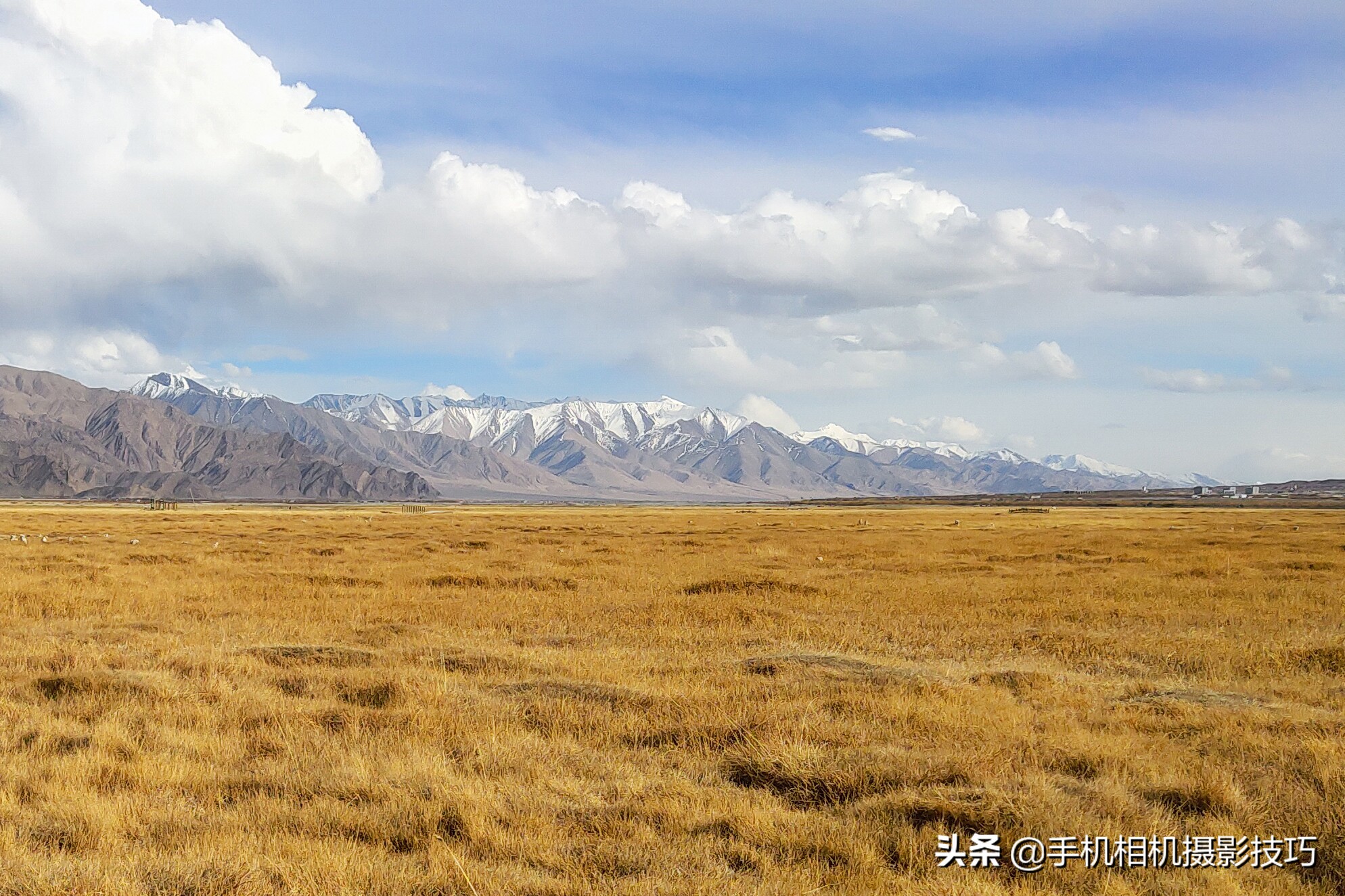 魅族16s拍照怎么样,魅族16s拍照好看吗