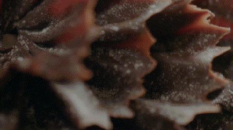 什么生巧,做生巧用什么巧克力最好