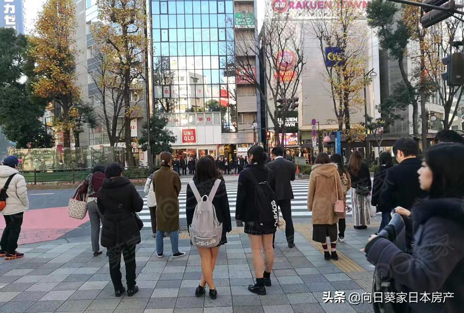 日本必打卡地标,日本京都一日游网红打卡地