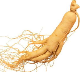 男性梦遗是什么情况下导致的,男性什么情况下梦遗