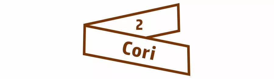 千元轻奢品牌包,人生第一只轻奢包怎么选