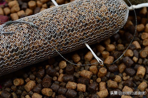 话说欧鲤之钓组篇,话说欧鲤钓