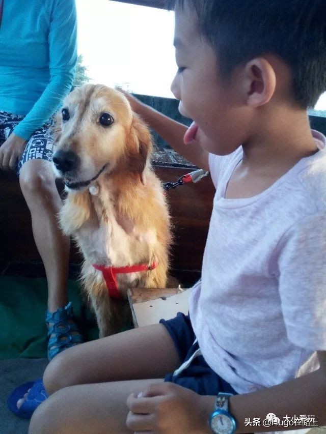 香港亲子游图文攻略图片大全,香港亲子游最佳路线图